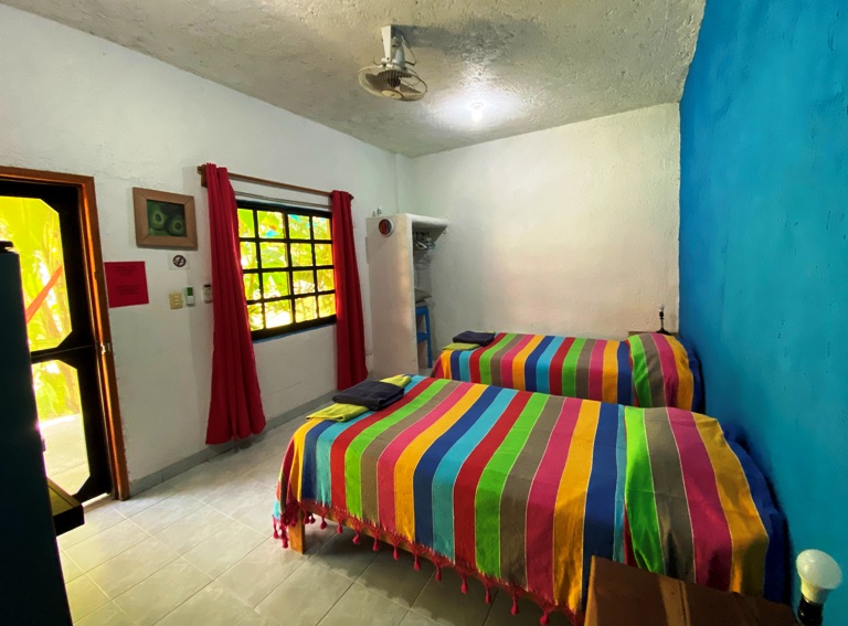 Cozumel Hostel Lodging Alternative Amigos Private Avocado Room!